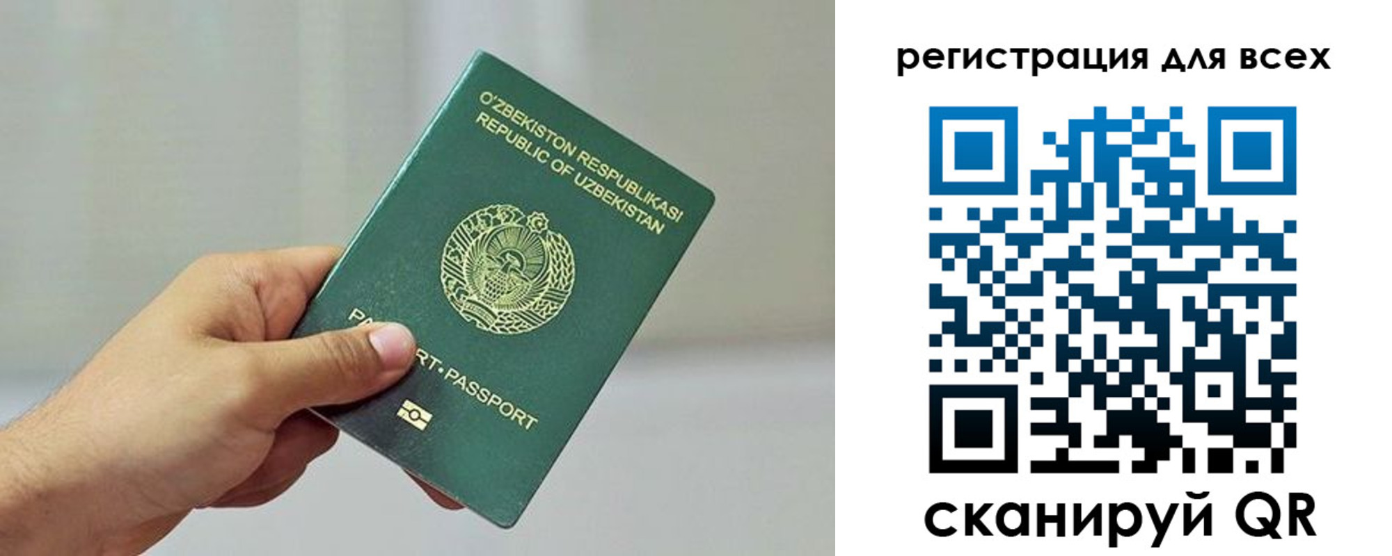 временная регистрация поиск в Снежногорске