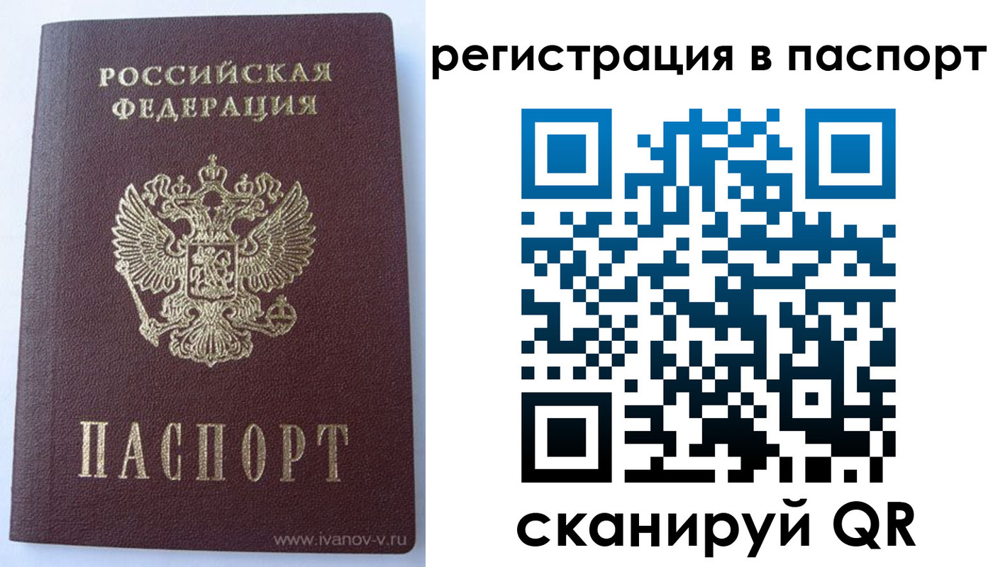 прописка поиск в Снежногорске